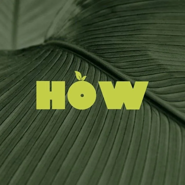 Howstudio