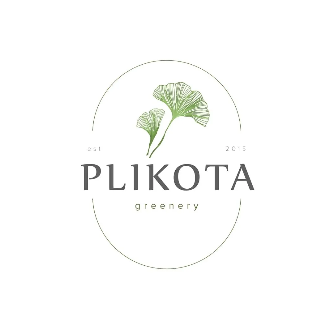 Plikota