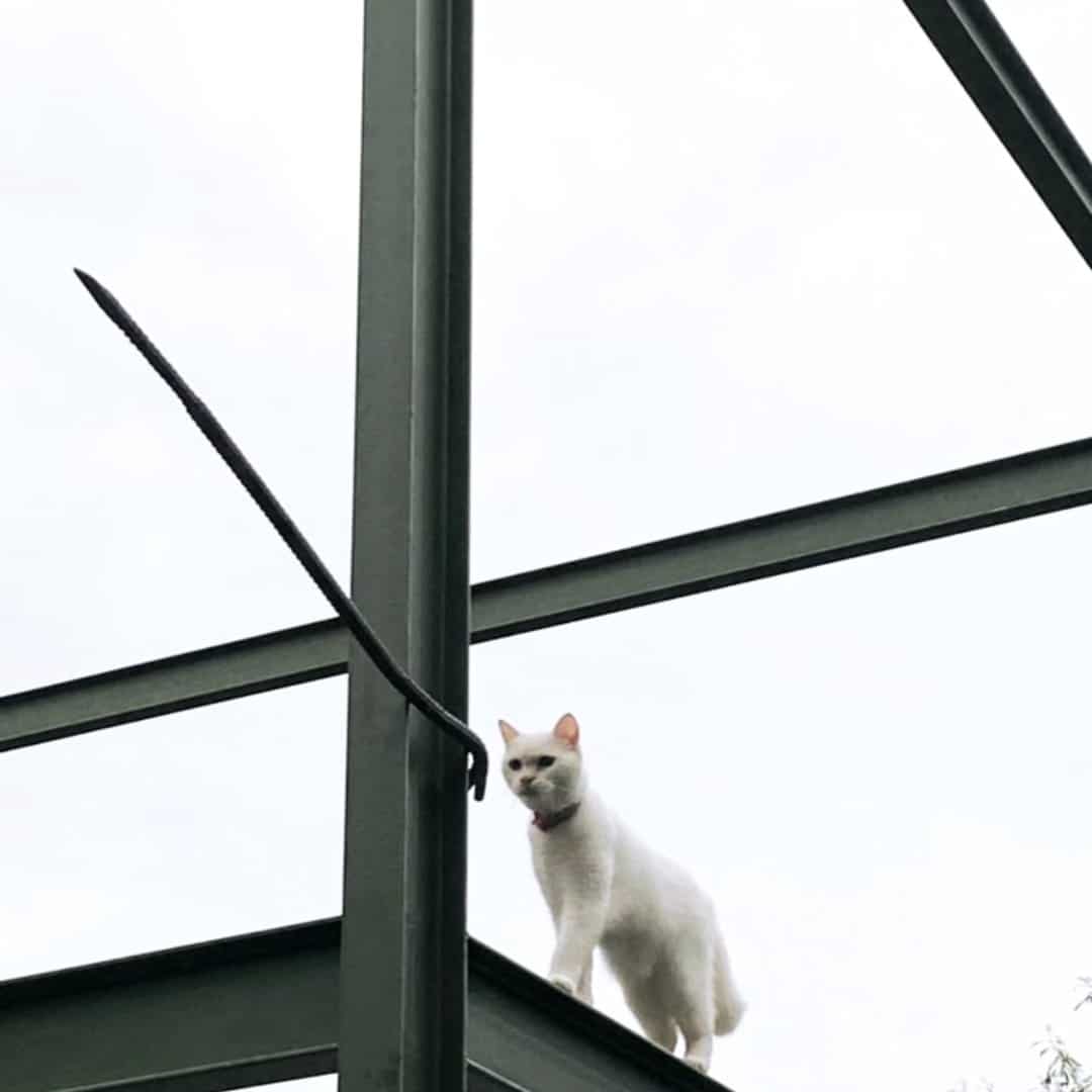 Riki Fajar Nadi Architects