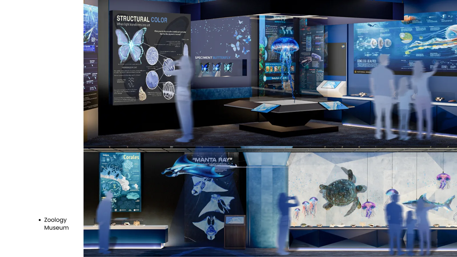 Exhibition Museum & Office Design