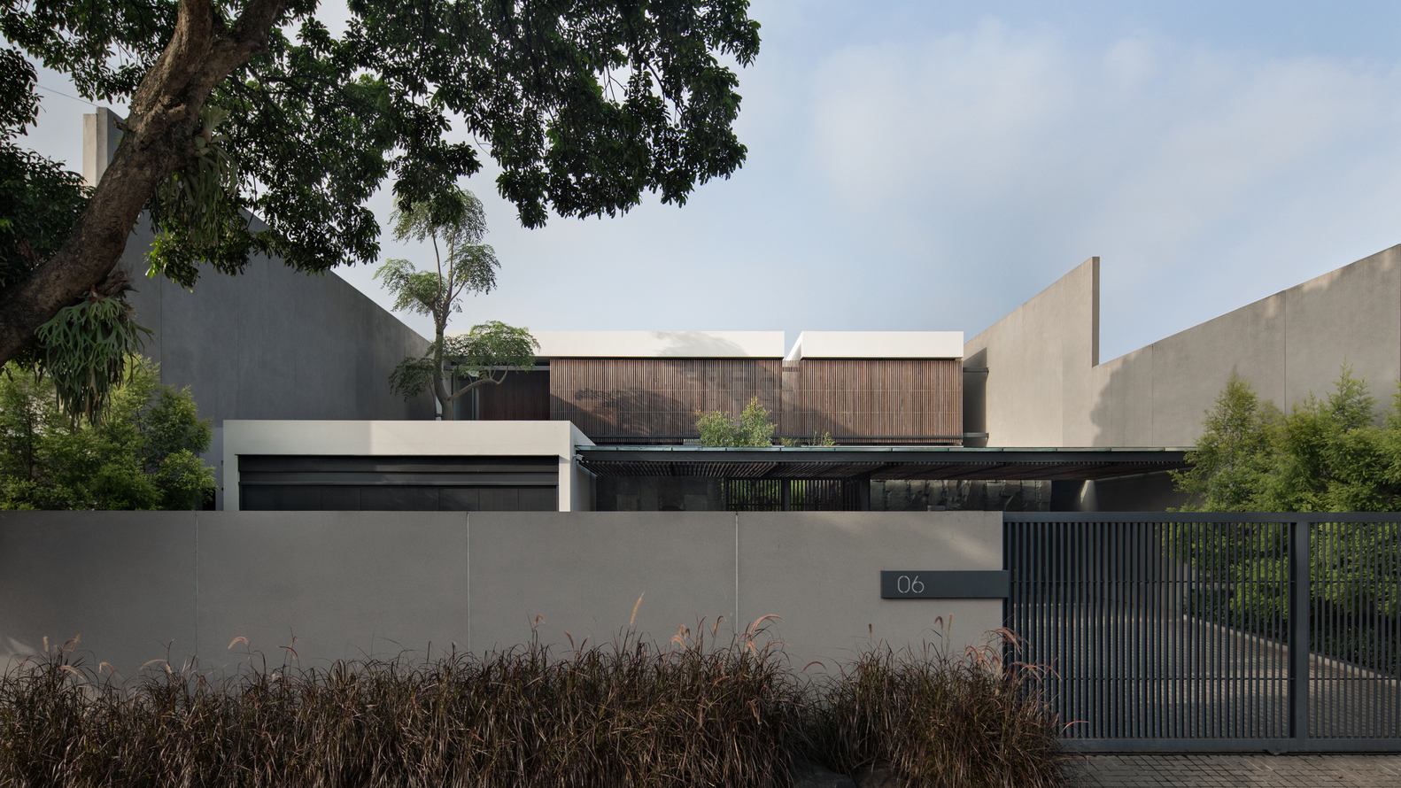 Palm Street House